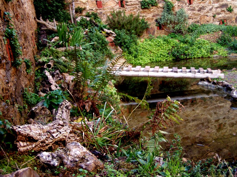 Il Laghetto del Centro di Entomologia - Piombino (LI)